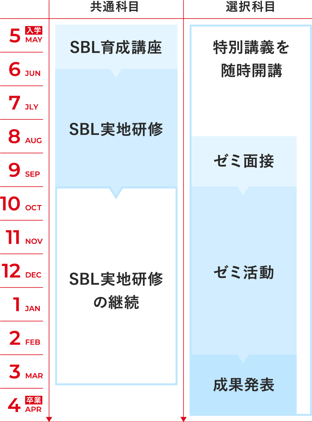 年間スケジュール