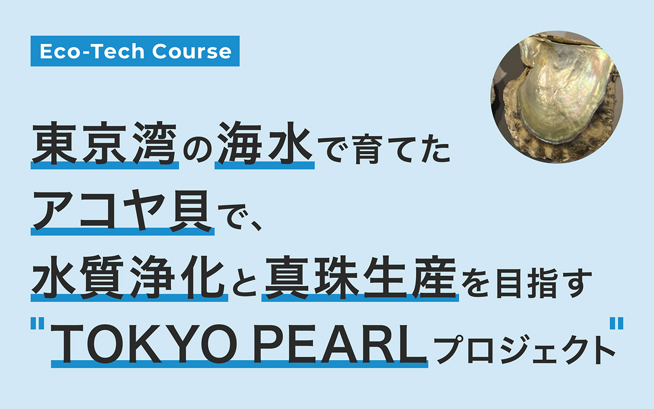 東京湾の海水で育てたアコヤ貝で、水質浄化と真珠生産を目指す「TOKYO PEARLプロジェクト」